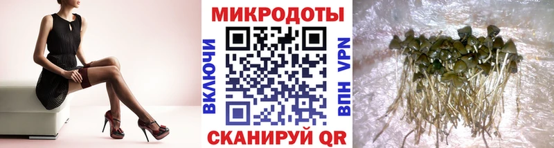 хочу наркоту Котовск Галлюциногенные грибы Magic Shrooms